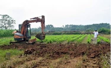 Trưởng thôn Trần Văn Toản trông coi công việc ở đầm Sen. (Ảnh Nguyễn Thơm)