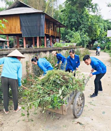 Đoàn Thanh niên thị xã Nghĩa Lộ tích cực thực hiện Mô hình “Tuyến đường hoa” tại cơ sở.