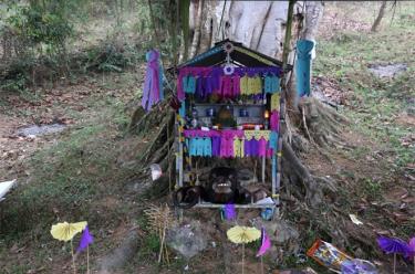 Xen Dong Festival is traditionally held under a hundreds-year-old banyan tree with thoroughly-prepared rituals.