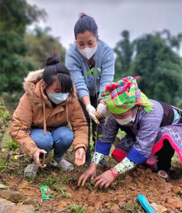 Các hội viên hội phụ nữ trong toàn tỉnh tích cực tham gia trồng rừng vụ xuân.