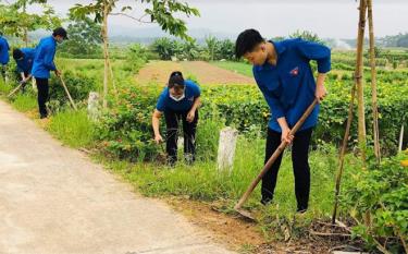 Tuổi trẻ xã Tuy Lộc tham gia vệ sinh môi trường.