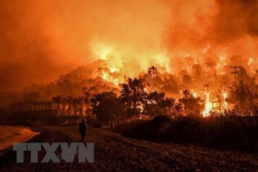 Vụ cháy rừng ở Schinos, phía Tây Athens, Hy Lạp ngày 19/5/2021.