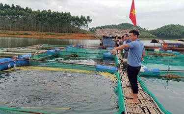 Mô hình nuôi cá lồng trên hồ Thác Bà của gia đình anh Đặng Văn Vấn.