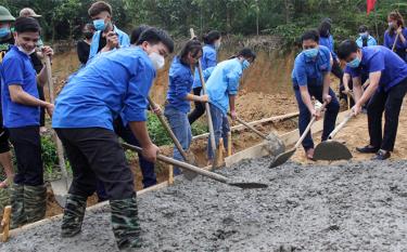 Đoàn viên thanh niên luôn là những hạt nhân xung kích, tiên phong trên các lĩnh vực phát triển kinh tế - xã hội.