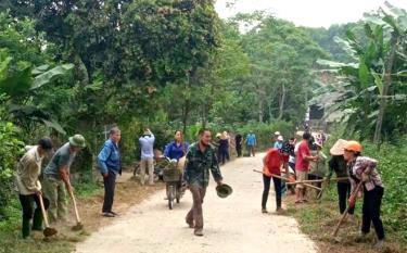 Hội viên CCB cùng các tổ chức, đoàn thể và nhân dân vệ sinh môi trường đường giao thông nông thôn.