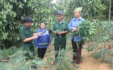 Cán bộ Hội Cựu chiến binh xã Yên Thái trao đổi kinh nghiệm sản xuất với hội viên.