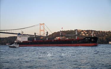 Tàu chở ngũ cốc Ukraine di chuyển qua eo biển Bosphorus để vào biển Marmara ở Istanbul, Thổ Nhĩ Kỳ, ngày 2/11/2022.