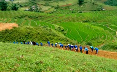 Đoàn viên, thanh niên xã Lao Chải, huyện Mù Cang Chải tình nguyện giúp các hộ dân trong xã khai hoang ruộng bậc thang.