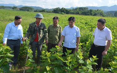 Lãnh đạo Ủy ban Mặt trận Tổ quốc huyện Trấn Yên xuống cơ sở vận động nhân dân xã Y Can phát triển kinh tế, xây dựng xã NTM kiểu mẫu.