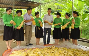 Măng mai Lâm Thượng là một trong những sản phẩm đặc sản địa phương có giá trị kinh tế cao đang được huyện Lục Yên quan tâm phát triển.