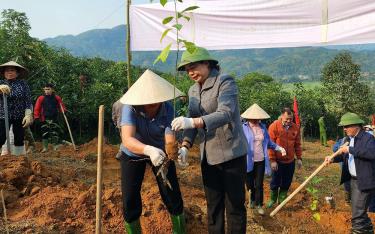 Đồng chí Hoàng Thị Vĩnh - Ủy viên Ban Thường vụ, Trưởng ban Dân vận link vào dafabet ủy tham gia trồng cây tại xã Hưng Thịnh, huyện Trấn Yên.