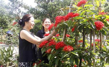 Học tập và làm theo Bác, hội dafabet dang nhap phụ nữ xã thực hiện mô hình “Nhà sạch, vườn đẹp” góp phần xây dựng nông thôn mới. Ảnh minh họa