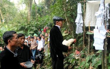Nghi lễ cúng rừng được thực hiện dưới gốc cây Táu mật cổ thụ.