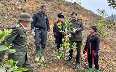 Yen Bai forest rangers guide local residents in afforestation techniques.