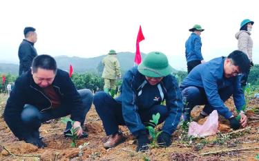 Cán bộ và nhân dân xã Mỏ Vàng tham gia Phong trào “Tết trồng cây đời đời nhớ ơn Bác Hồ” xuân Ất Tỵ 2025.