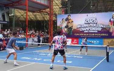 Giải vô địch Pickleball Quốc gia năm 2025 diễn ra từ ngày 6-9/3 tại cụm sân BLM Club, 262 Lê Lợi, thành phố Vũng Tàu (Bà Rịa-Vũng Tàu).