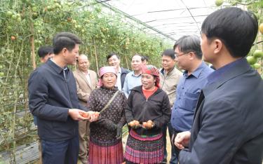 Các đồng chí lãnh đạo tỉnh kiểm tra tình hình phát triển kinh tế tại huyện vùng cao Mù Cang Chải.