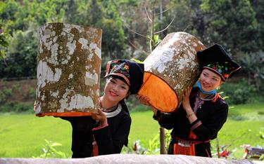 Huyện Văn Yên duy trì vùng nguyên liệu quế trên 52.000 ha, trong đó đã có trên 25.300 ha quế được canh tác theo hướng hữu cơ.