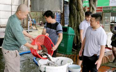 Các loài cá thả tại hồ Thác Bà có đầy đủ hồ sơ nguồn gốc, xuất xứ theo đúng quy định, đảm bảo theo tiêu chuẩn kỹ thuật chuyên ngành về kích cỡ, chất lượng cá giống.