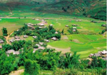 Những cánh ruộng bậc thang trù phú bao quanh bản làng.