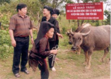 Đồng chí Hoàng Đức Quế Chủ tịch LĐLĐ tỉnh bàn giao trâu cho nông dân xã Nậm Mười.

