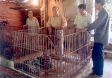 Ông Hưng (người đứng thứ 2 từ trái sang) đang hướng dẫn cách nuôi và chăm sóc nhím cho khách hàng muốn mua nhím về nuôi.