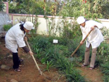 Cán bộ Trạm y tế chăm sóc vườn thuốc nam. Ảnh: Đình Tứ.