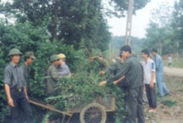 Lực lượng dân quân xã Nga Quán (Trấn Yên) cùng nhân dân thôn Hồng Hà dọn dẹp hành lang vành đai khu 
quân sự. (Ảnh: Lại Tấn)

