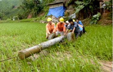 Công nhân công ty điện lực Yên Bái nhanh 
chóng sửa đường điện bị hỏng do lũ lụt.