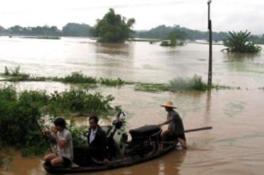 Ruộng đồng trắng băng trong lũ.