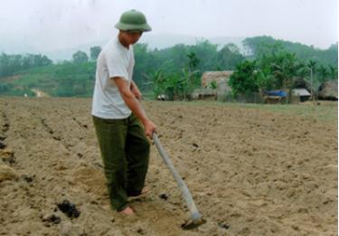 Tranh thủ thời tiết thuận lợi ông Hữu Văn Thành ở thôn Làng mấy, xã Vũ Linh đang tích cực trồng sắn cho kịp thời vụ.
