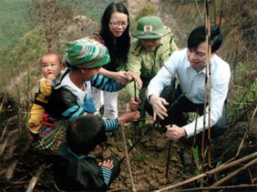 Các đồng chí lãnh đạo tỉnh cùng tham gia trồng rừng.