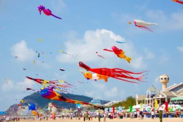 Hình ảnh đẹp mắt quen thuộc tại Festival Diều quốc tế Vũng Tàu.