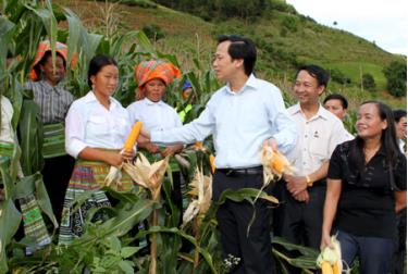 Bí thư Tỉnh ủy Đào Ngọc Dung kiểm tra tình hình sản xuất của đồng bào Mông ở xã Xà Hồ, huyện Trạm Tấu.