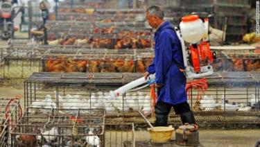 Phun thuốc khử trùng tại một khu chợ gia cầm ở Vũ Hán, tỉnh Hồ Bắc, miền Trung Trung Quốc.