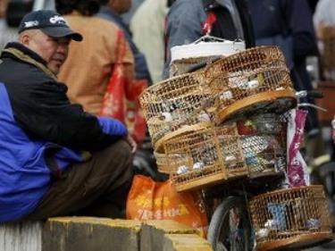 Một chợ bán gia cầm tại Bắc Kinh ngày 13/4.