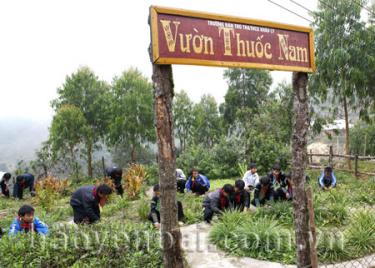 Học sinh Trường Bán trú Tiểu học và Trung học cơ sở Khấu Ly xã Bản Mù chăm sóc vườn thuốc nam.
(Ảnh: Thanh Miền)