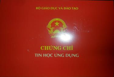 Các Sở Giáo dục, trường đại học phải công bố công khai thông tin, danh sách học viên được cấp chứng chỉ trên trang thông tin điện tử của đơn vị.
