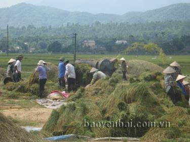 Đưa cơ giới hóa vào sản xuất góp phần tăng năng suất lao động.