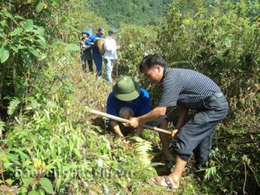 Đoàn viên, thanh niên xã Xà Hồ tham gia trồng rừng kinh tế.
