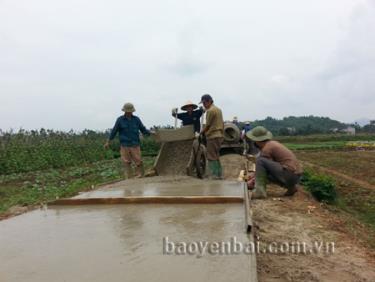 Xây dựng đường giao thông nội đồng tại xã Tuy Lộc.