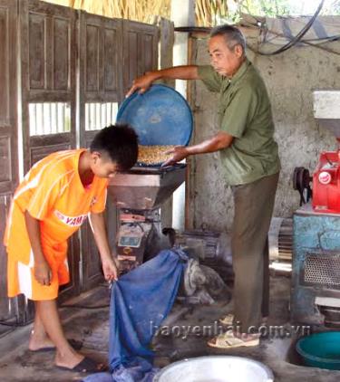 Nhiều hộ nông dân làm dịch vụ xay sát phụ vụ bà con và mang lại thu nhập cao cho gia đình.