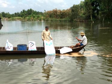 Bộ NN&PTNT khuyến cáo cần phải giảm dần việc sử dụng kháng sinh trong chăn nuôi.