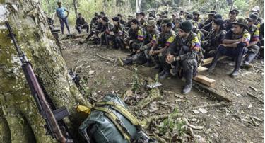 Các thành viên của Lực lượng Vũ trang cách mạng Colombia (FARC).