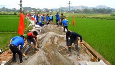 Chiến dịch Thanh niên tình nguyện hè 2017 có chủ đề chung tay xây dựng nông thôn mới và đô thị văn minh (ảnh minh hoạ).