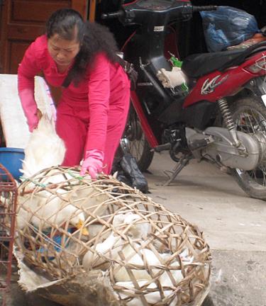 Ngành y tế sẽ tập trung kiểm soát an toàn đối với rượu, rau, thịt, thủy sản tươi sống.