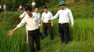 Lãnh đạo huyện Yên Bình kiểm tra công tác phòng chống ngập úng tại xã Văn Lãng.