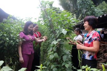 Lãnh đạo Hội Phụ nữ tỉnh thăm mô hình “Vườn rau gia đình” của hội viên phụ nữ xã Nghĩa Lợi, thị xã Nghĩa Lộ.