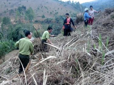 Lực lượng kiểm lâm hướng dẫn người dân kỹ thuật phát dọn nương để phòng ngừa cháy rừng.