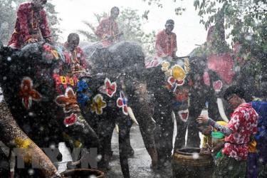 Người dân tham gia lễ hội té nước Songkran ở Ayutthaya, Thái Lan, ngày 11/4/2019.